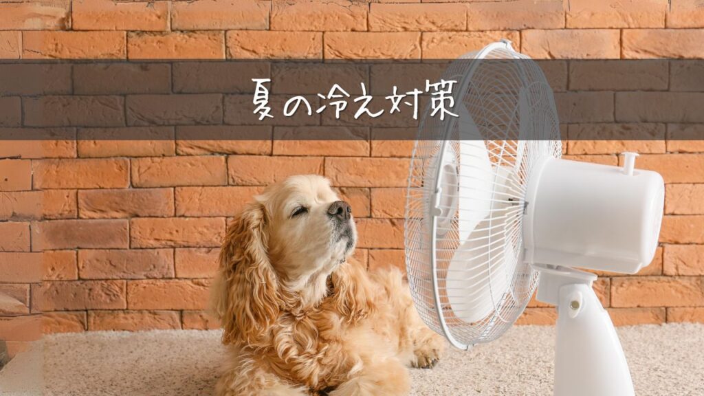 夏でも冷え対策！おすすめの温活方法_夏の冷え対策